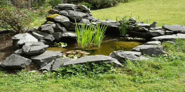 Garden Ponds