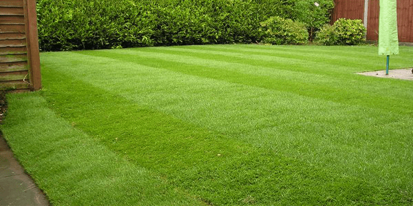 Turfing